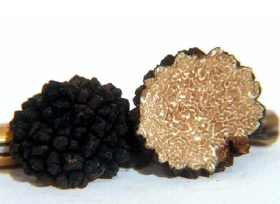 Pulire e conservare il tartufo consigli idee per usarlo in ...