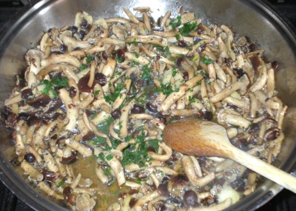 Ricetta Funghi Pioppini E Polenta Tutte Le Ricette