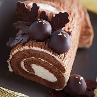 Tronchetto Di Natale La Prova Del Cuoco.Tronchetto Di Natale Ricetta Preparazione E Ingredienti