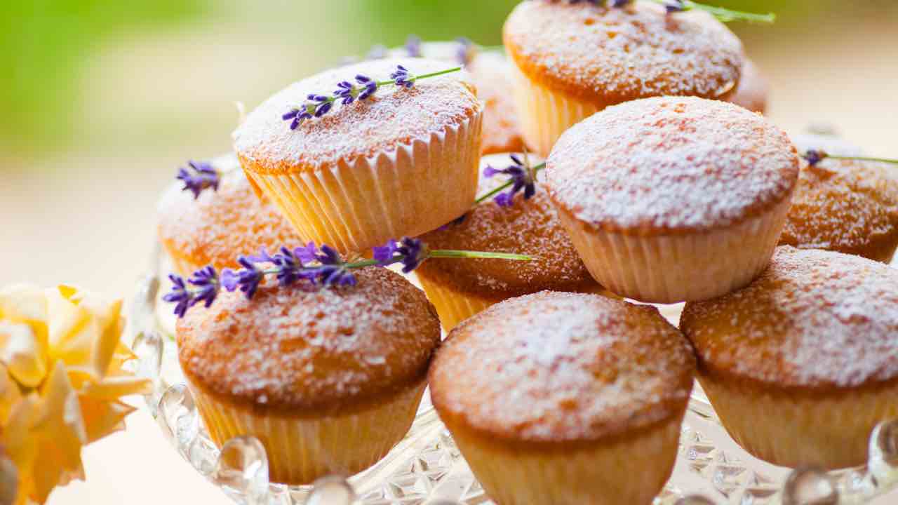 ricetta muffin alla lavanda