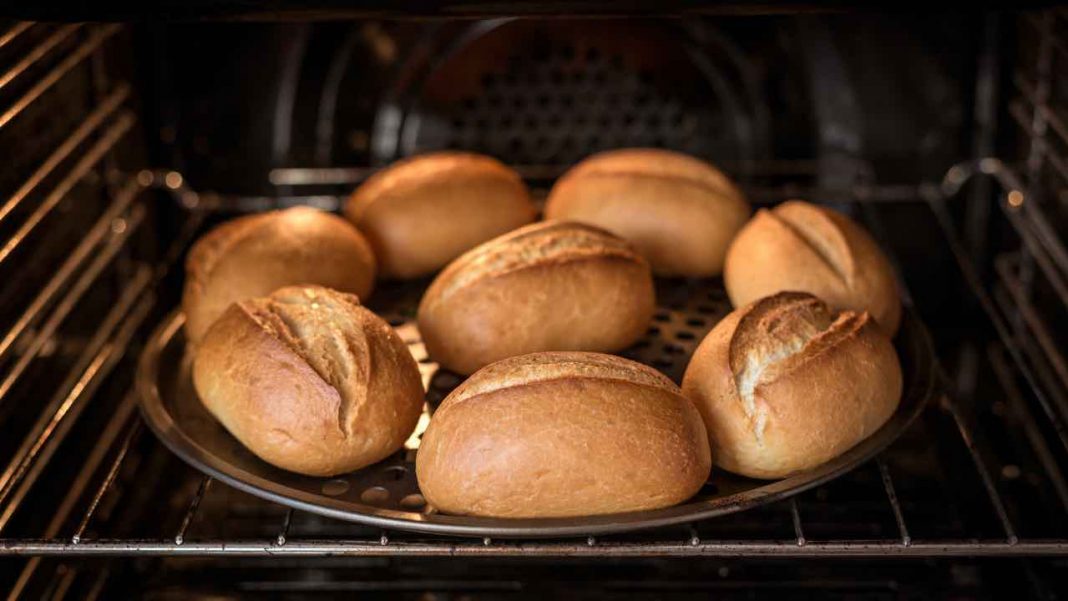 Non buttare il pane secco se fai così, sembra uscito dal forno Non buttare il pane secco se fai così, sembra uscito dal forno