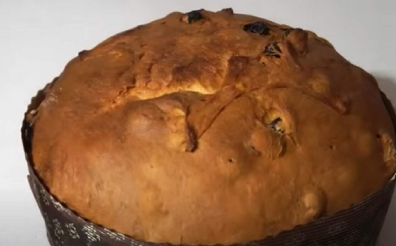 panettone mondo