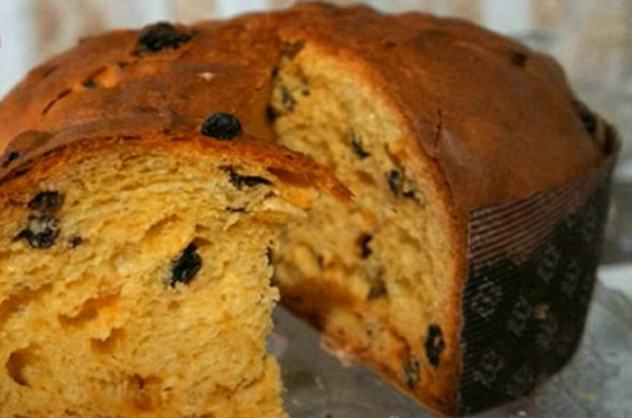 Panettone