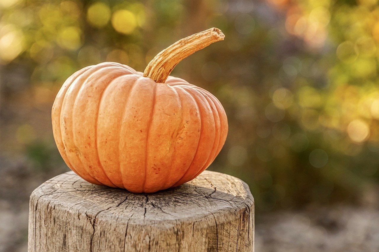 zucca gratinata al forno