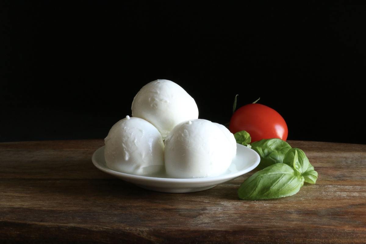 mozzarella bufala