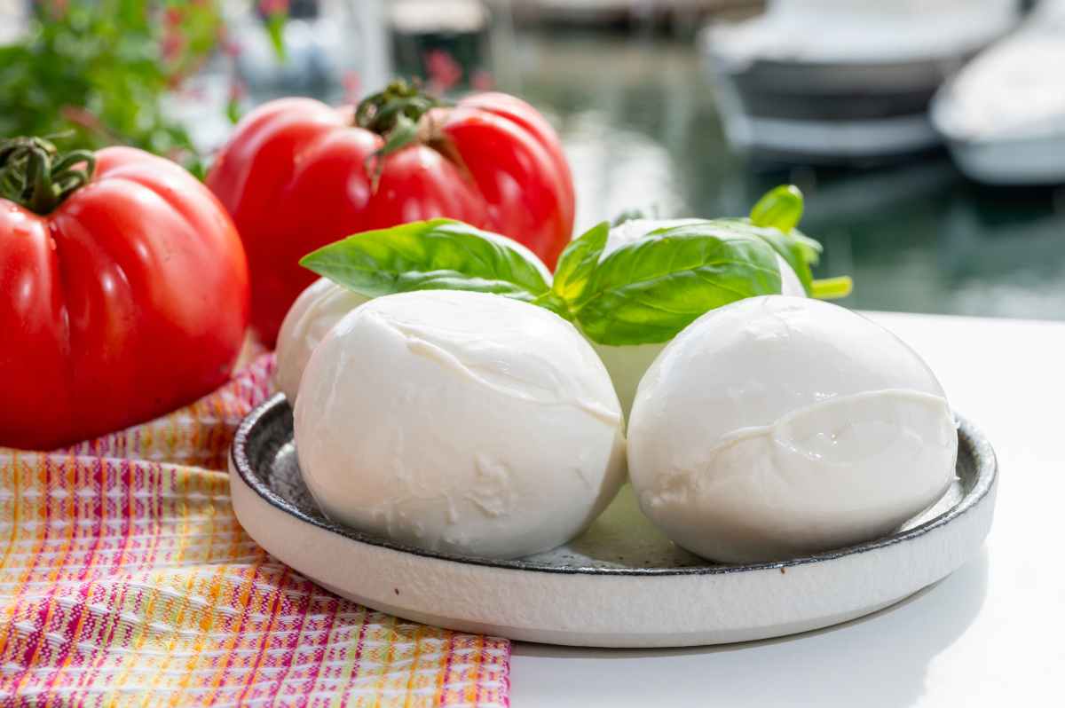 Mozzarella bufala