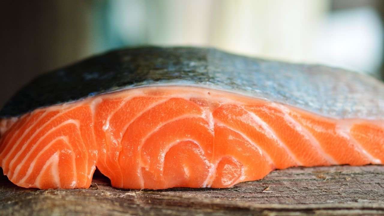 salmone