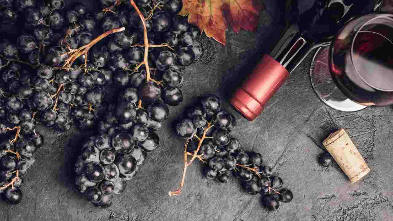 Vino rosso e uva nera