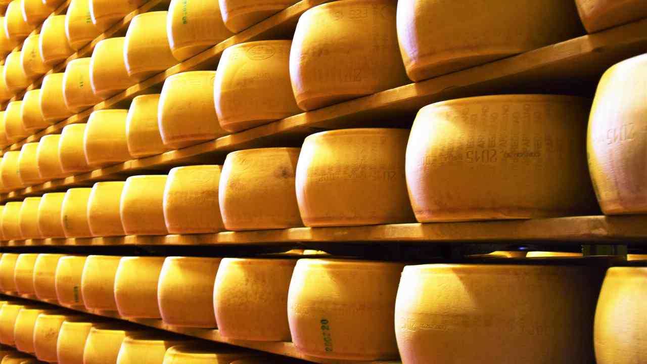 Forme di Parmigiano