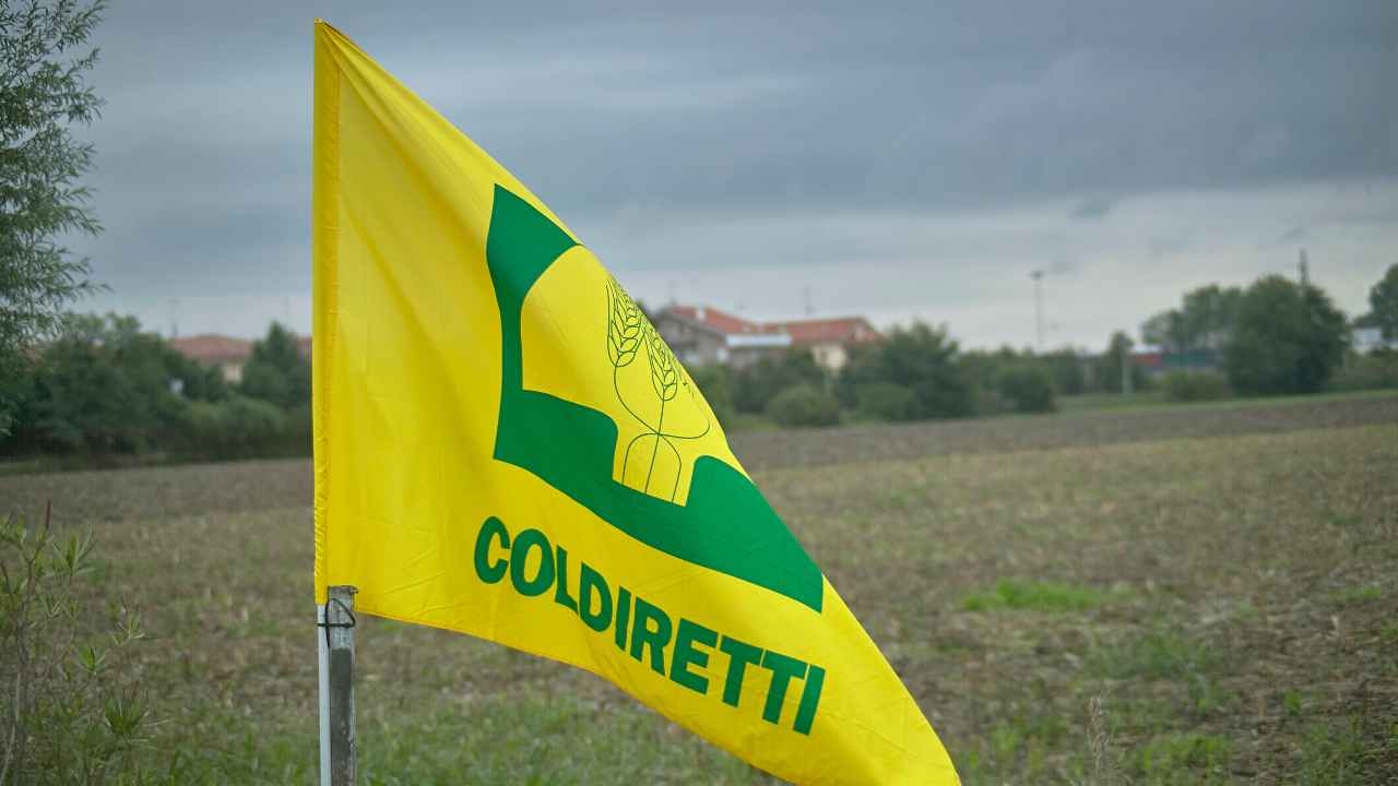 Bandiera Coldiretti a Rovigo