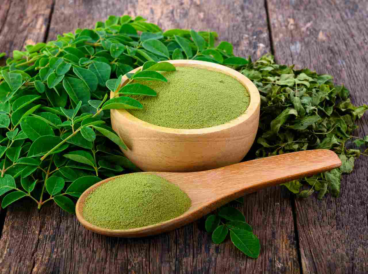 moringa