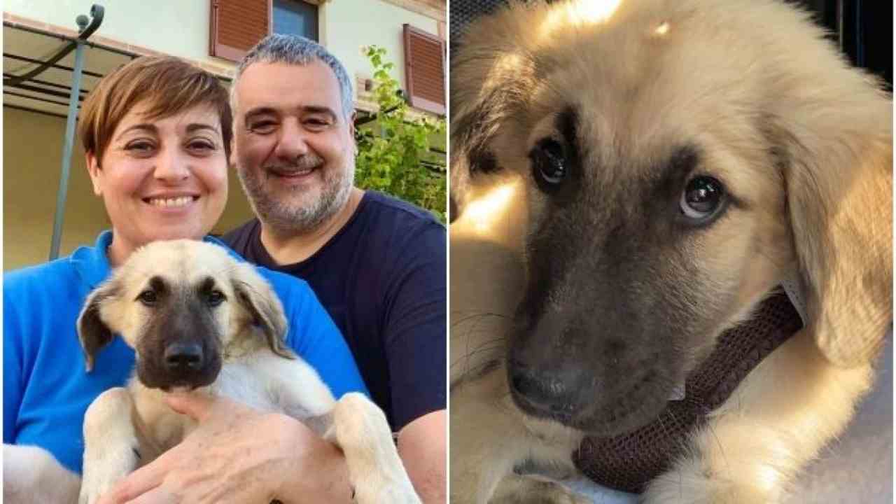 Benedetta Rossi il marito e il loro cane