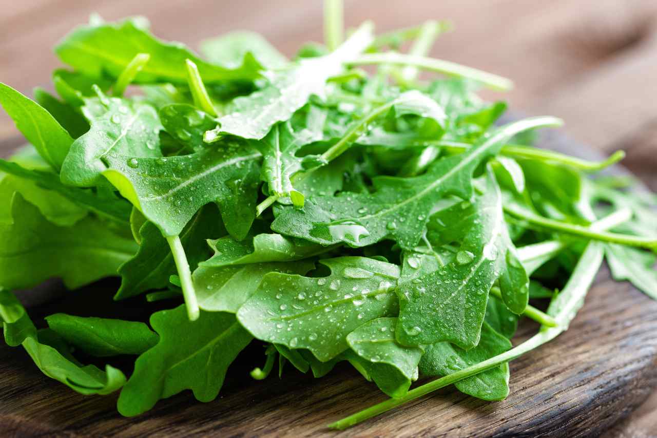 rucola