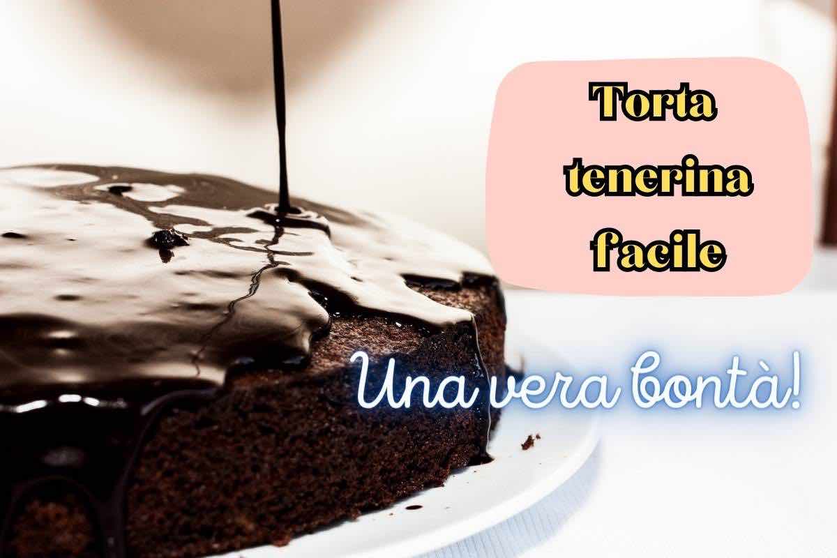 ricetta facile torta tenerina