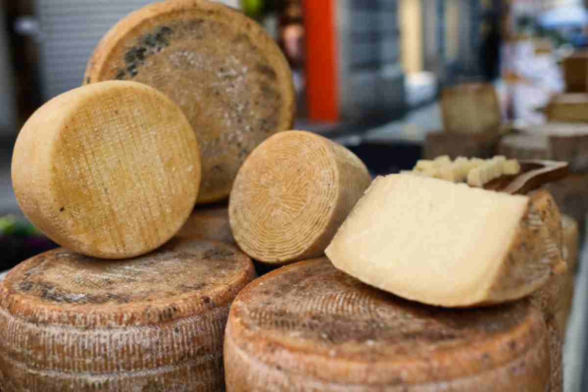 pecorino sardo