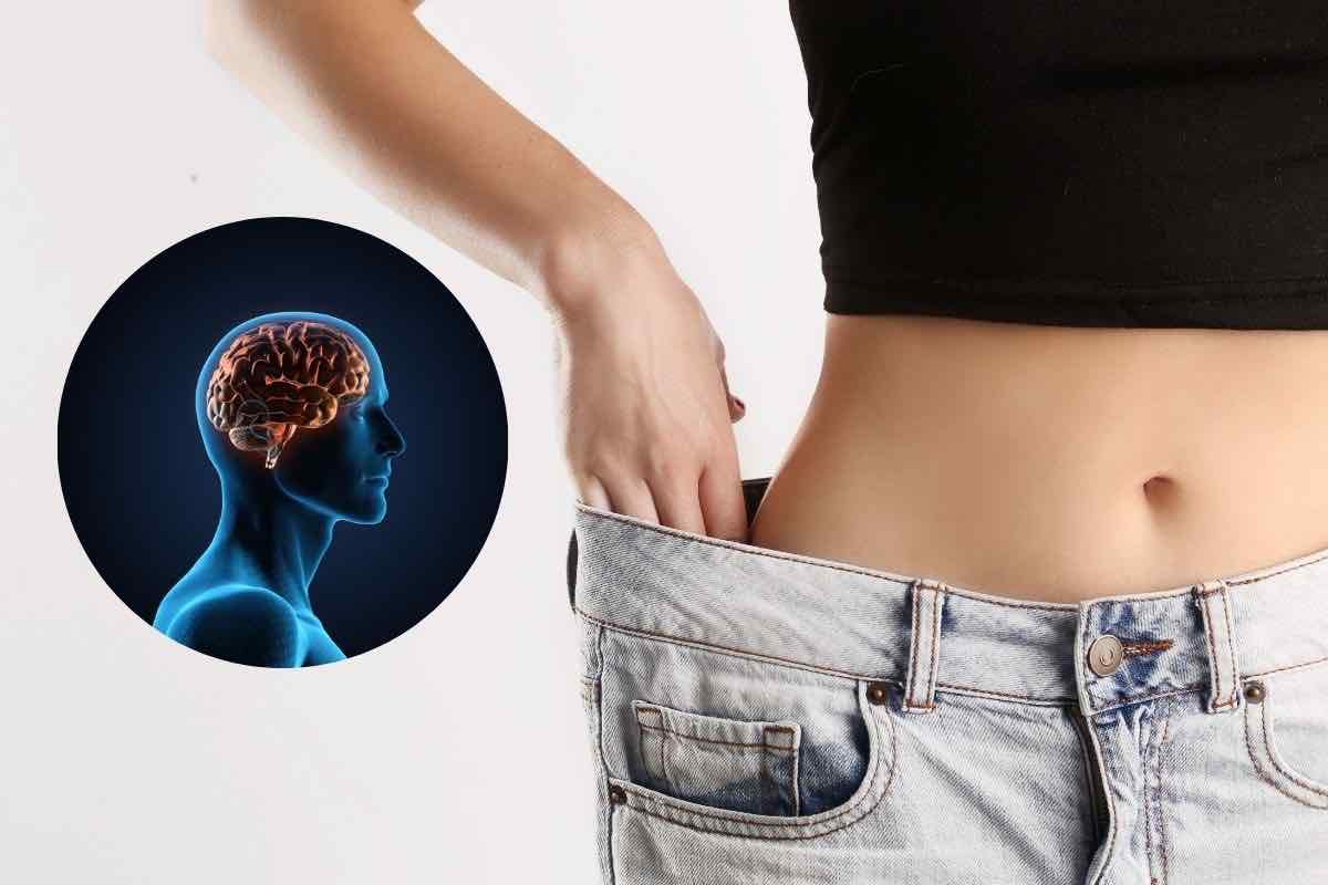 Punto vita di una donna e cervello